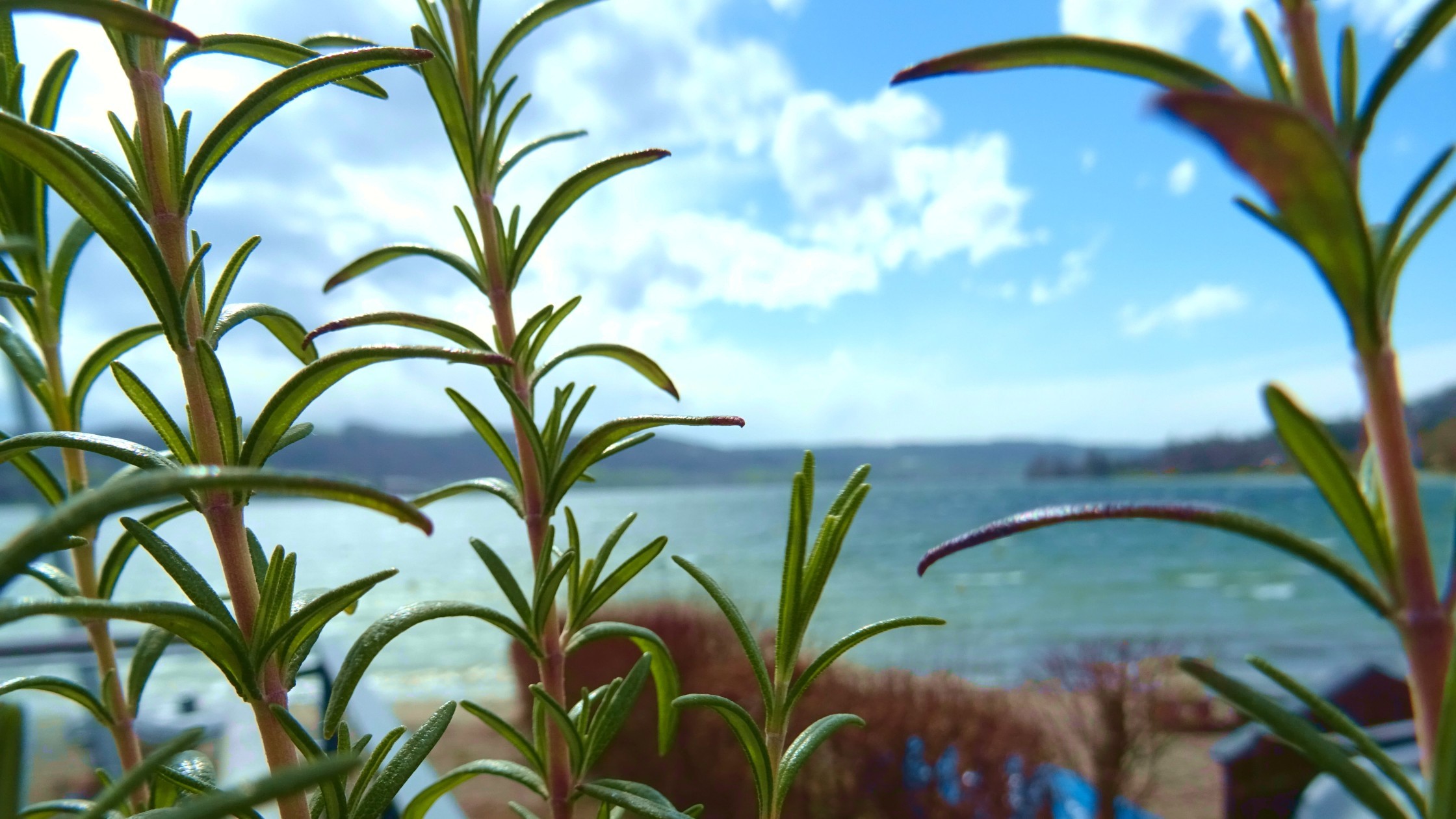 Resi_Blick_Terrasse_Ostern_1