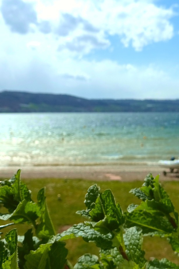 Resi_Blick_Wintergarten_Ostern