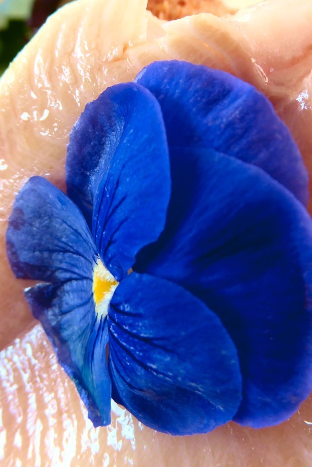 Resi_SaiblingConfiert_Blume_1